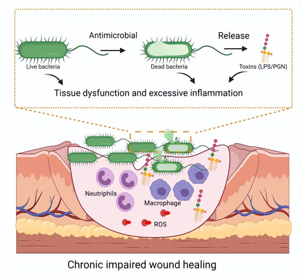 1676942595602655.png 图片2_副本.png