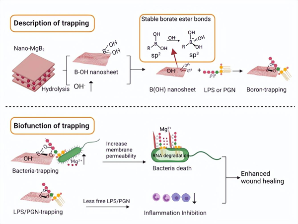 1676942719161969.png 图片3_副本.png