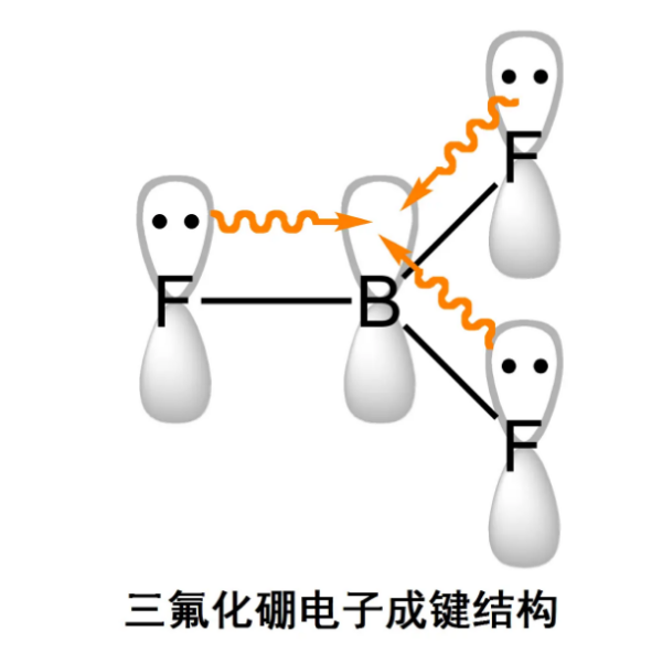 图片9_副本.png